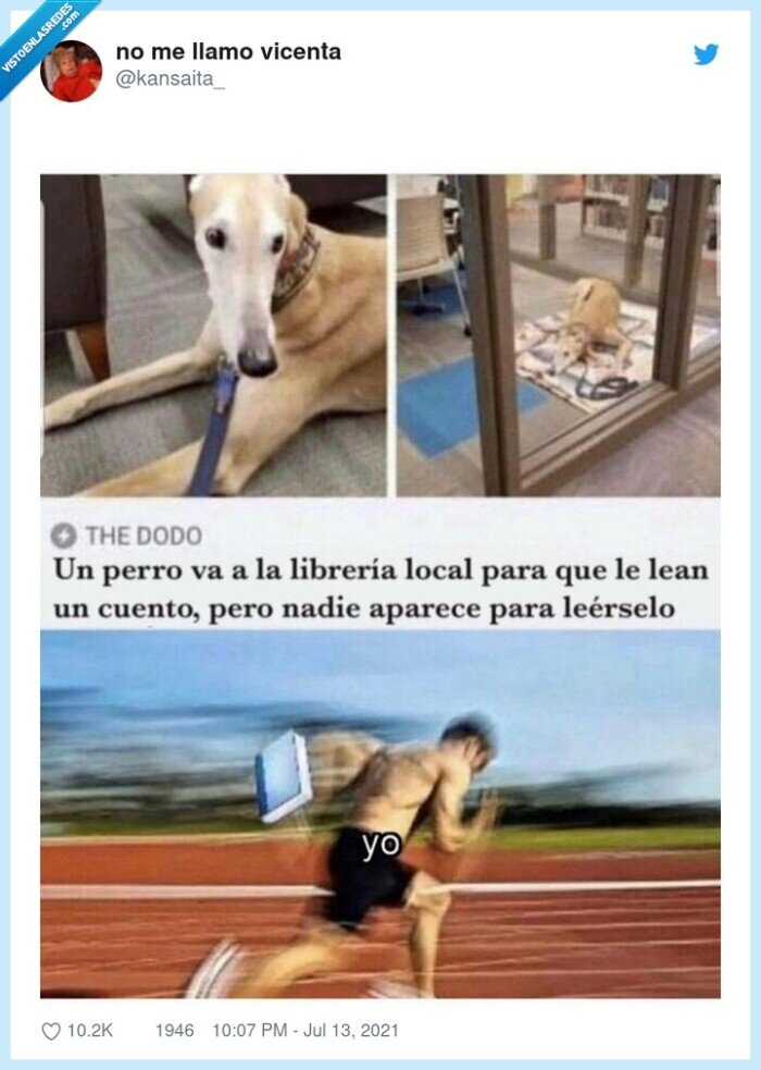 perro,librería,cuento,leer