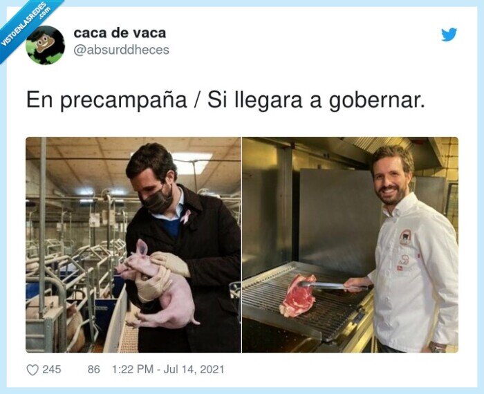 precampaña,gobernar,casado,chuletón,cerdo
