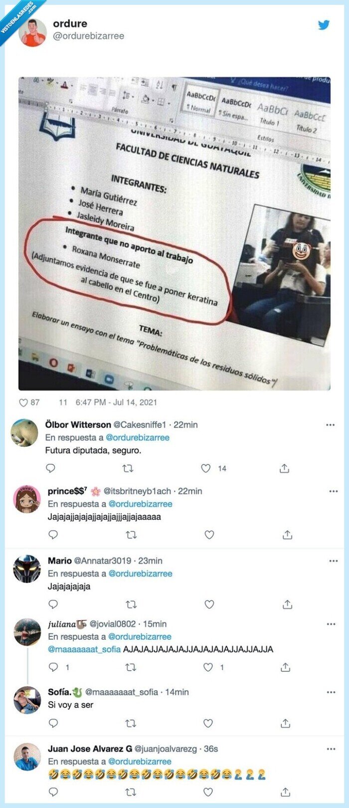 trabajo,grupo,keratina,pelo,caradura