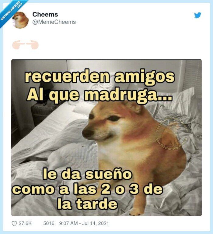 madrugar,sue&ntilde;o,siesta