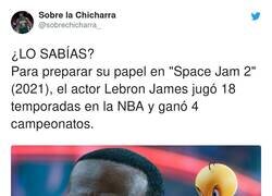 Enlace a Y faltó: perdió 6 finales, por @sobrechicharra_