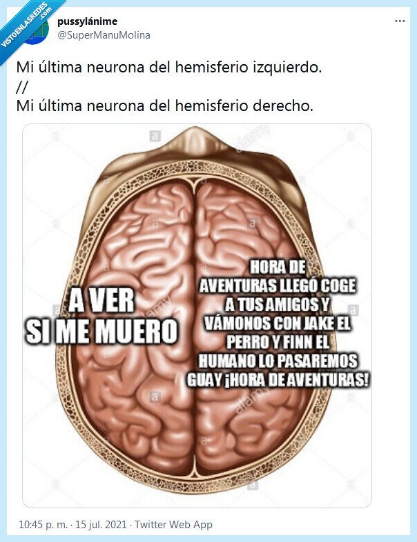 neurona,izquierda,derecha,hemisferio