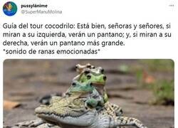 Enlace a Te pasea y luego te come por @supermanumolina