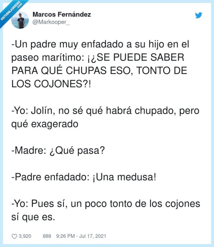 marítimo,exagerado,chupar,enfadado,niño,medusa