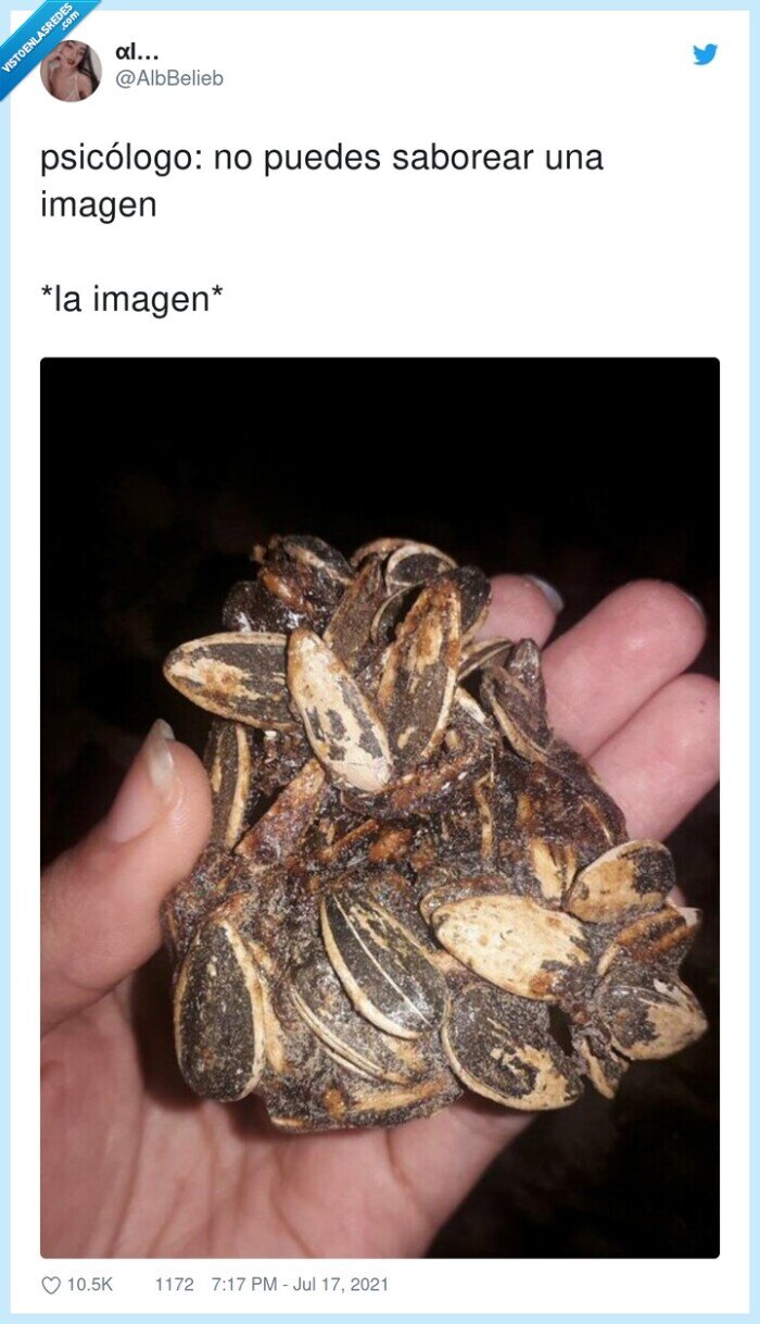 psicólogo,saborear,imagen,pipas