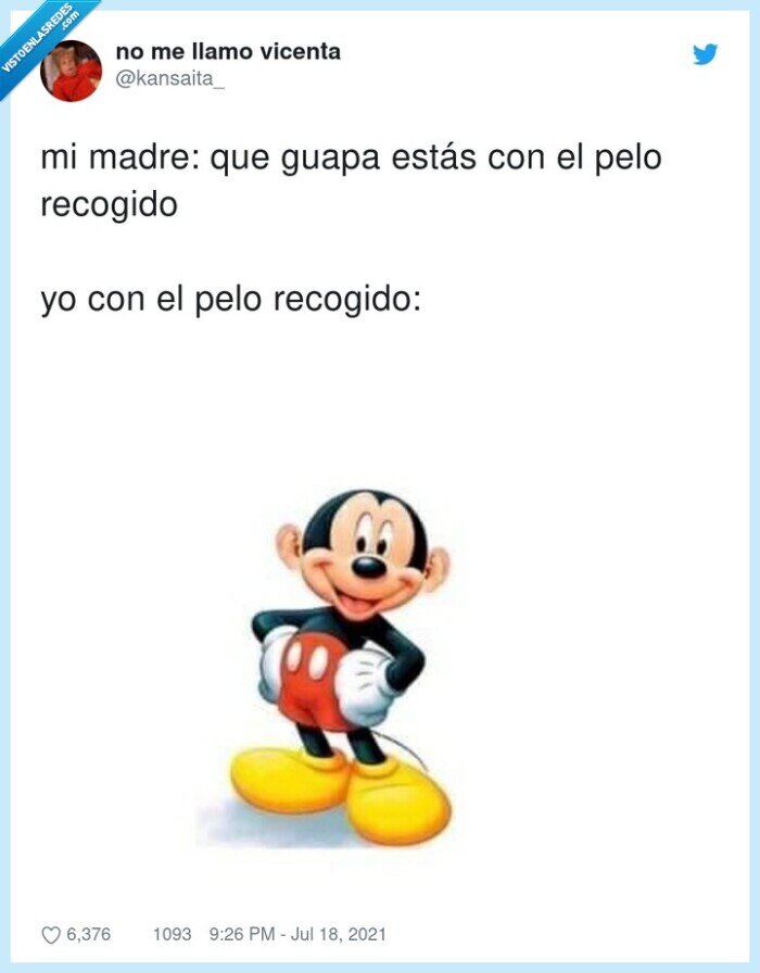 pelo,recogido,orejas,mickey mouse