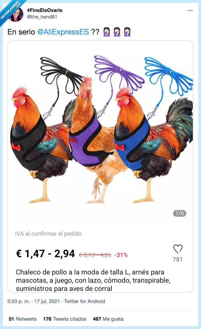 aliexpress,gallina,chaleco,pollo