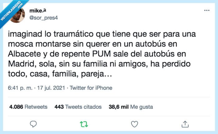 mosca,autobús,madrid