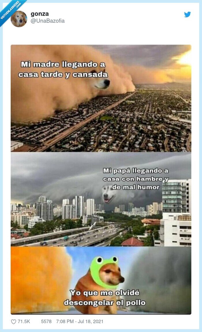 padre,madre,llegar,comida