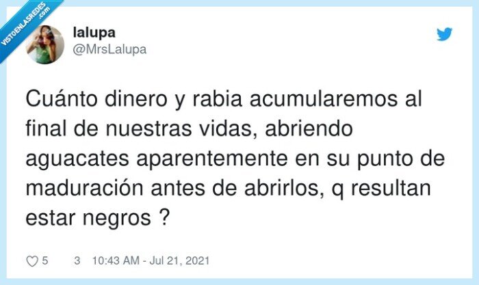 aparentemente,acumular,maduración,aguacates,abrir,gastar