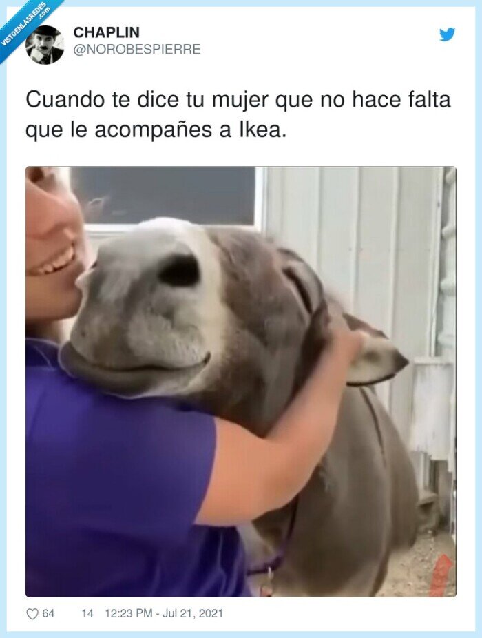 acompañar,mujer,ikea