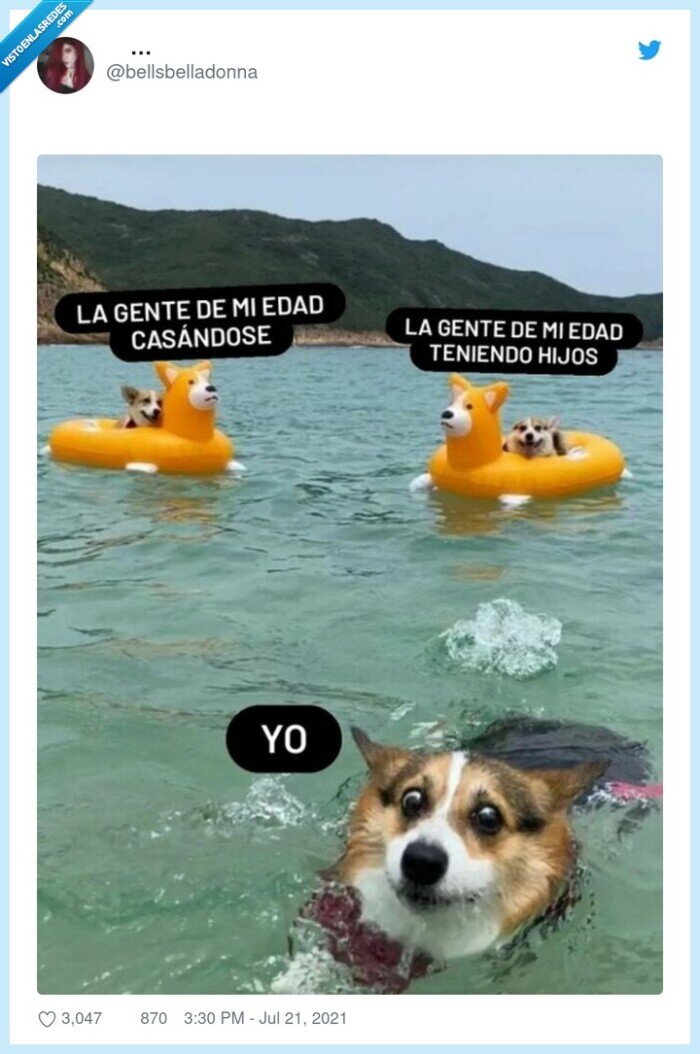 amigos,casarse,bodas,hijos