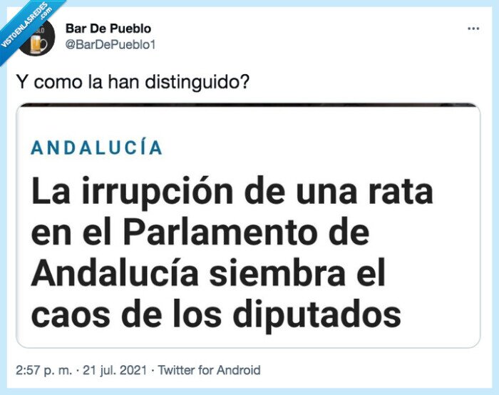 rata,parlamento