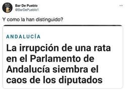 Enlace a Por el rabo, las demás lo tenían dentro de los pantalones, por @BarDePueblo1