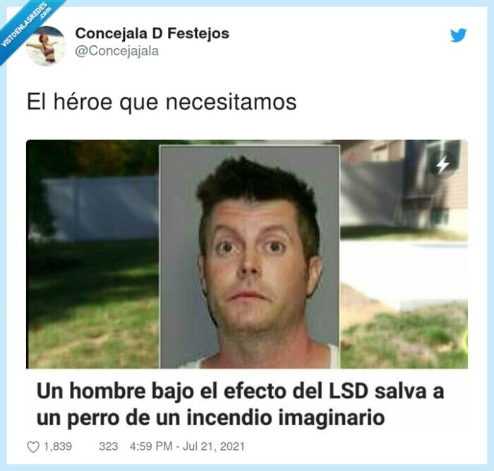 lsd,perro,salvar,incendio,imaginario