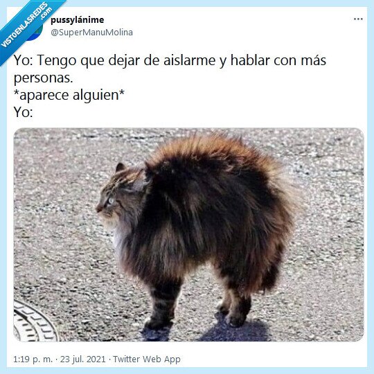 aislarme,hablar,personas