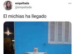 Enlace a Y resucita 7 veces, por @empeltada