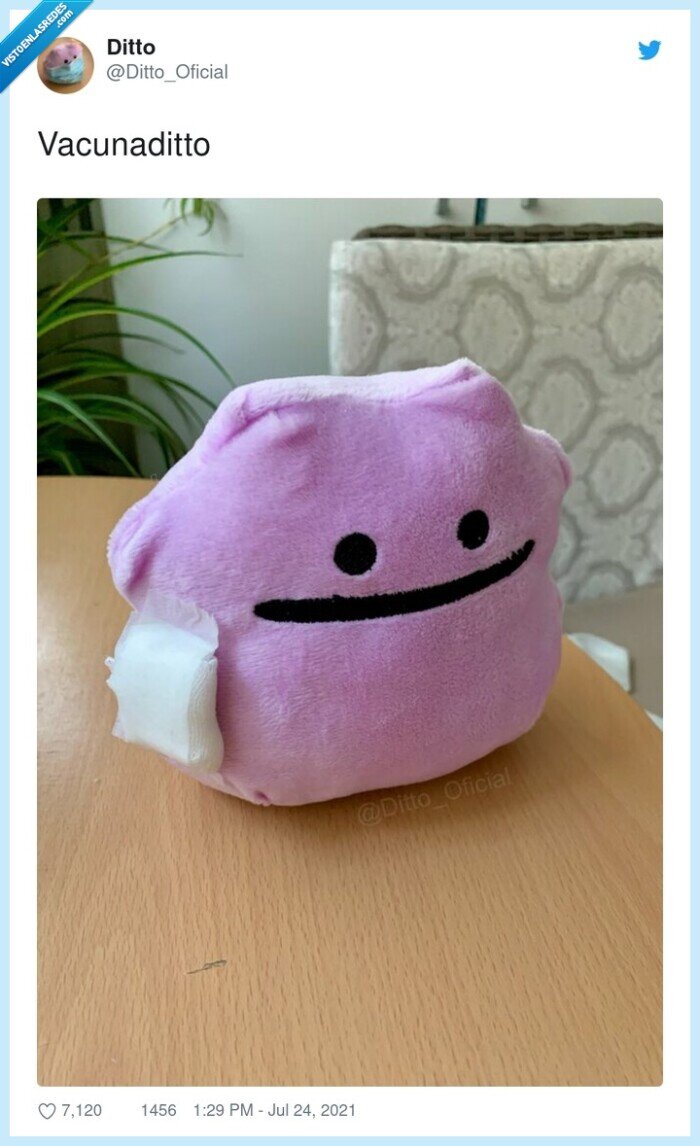 vacunaditto,ditto,vacuna