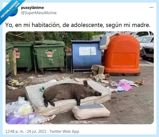 adolescente,habitación,madre