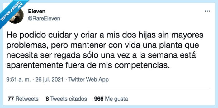 cuidar,plantas,problemas