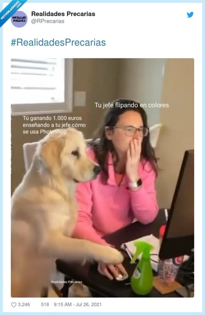 jefe,photoshop,ayudar,enseñar