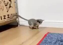 Enlace a Y cuando se te empiezan a pegar..., por @TheTrooper37