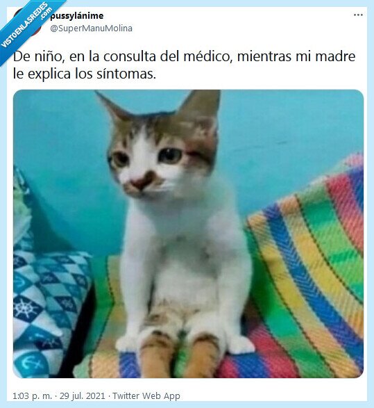 consulta,médico,madre,síntomas,explicar