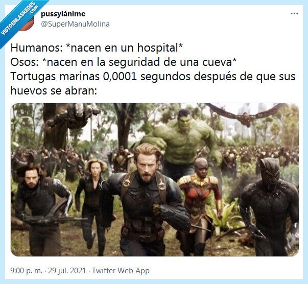 tortugas marinas,humanos,huevos