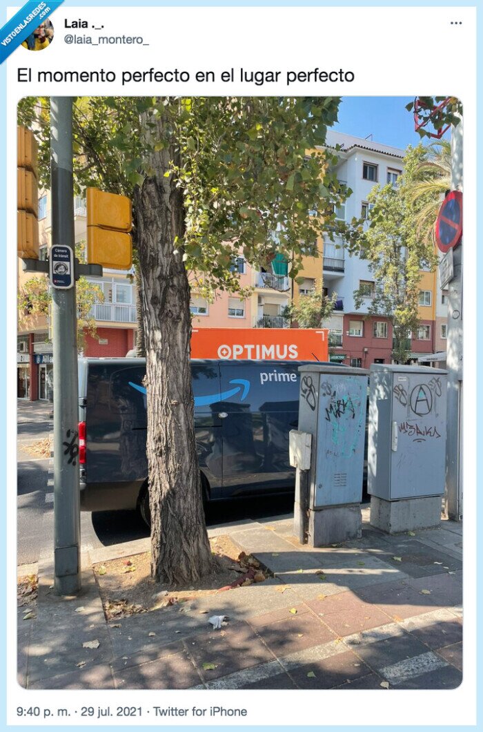 momento perfecto,optimus,prime