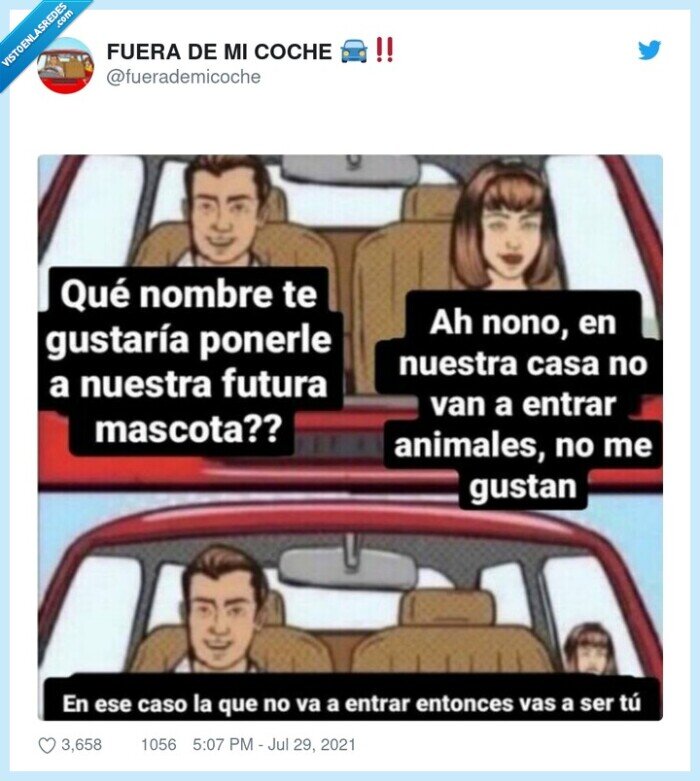 mascotas,nombre,escoger