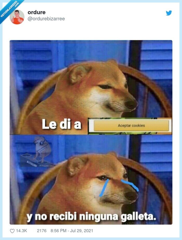 cookies,galletas,aceptar,doge