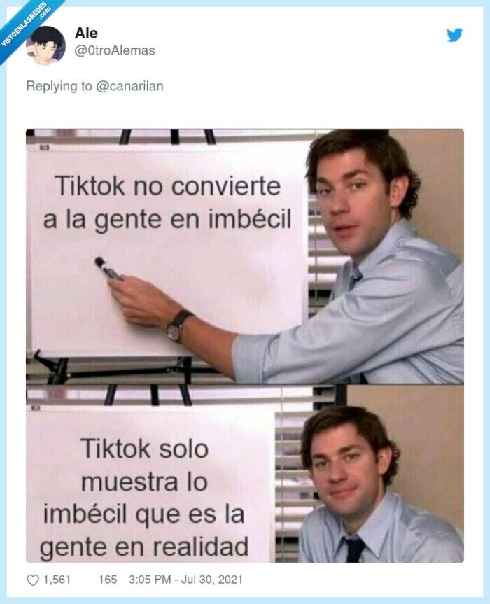 tiktok,gente,imb&eacute;cil,tontos
