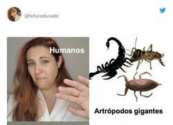 Enlace a Aún no entiendo cómo la gente puede comer marisco, por @tofucaducado