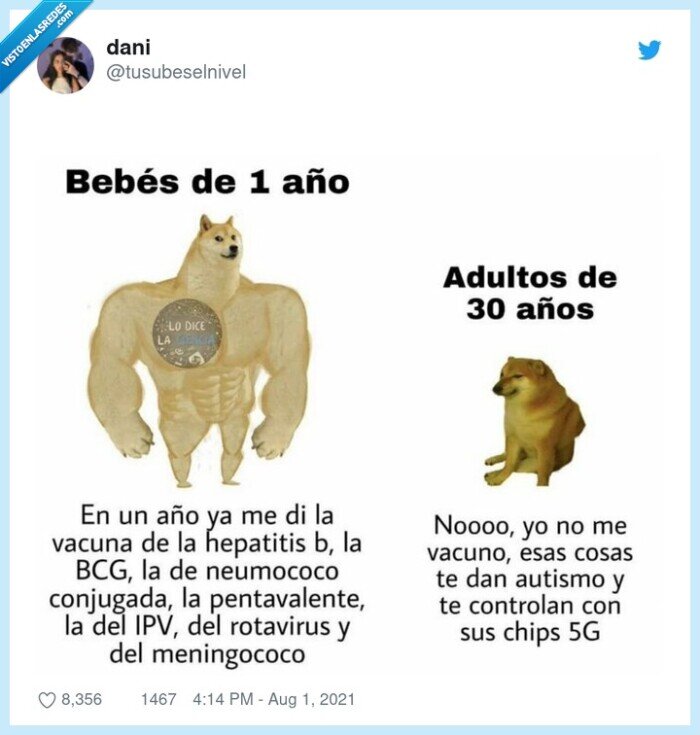 cheems,doge,bebe,adulto,vacunas