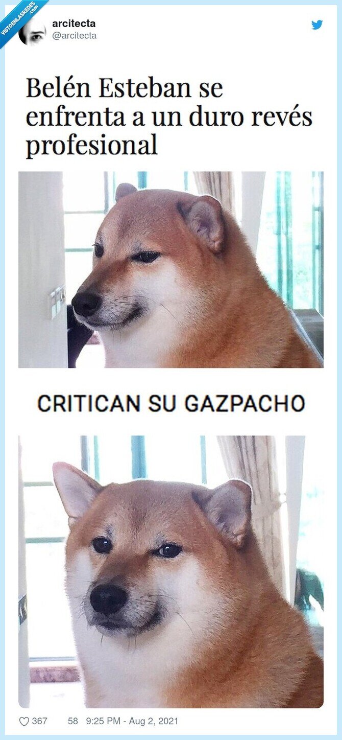 belen esteban,crítica,gazpacho