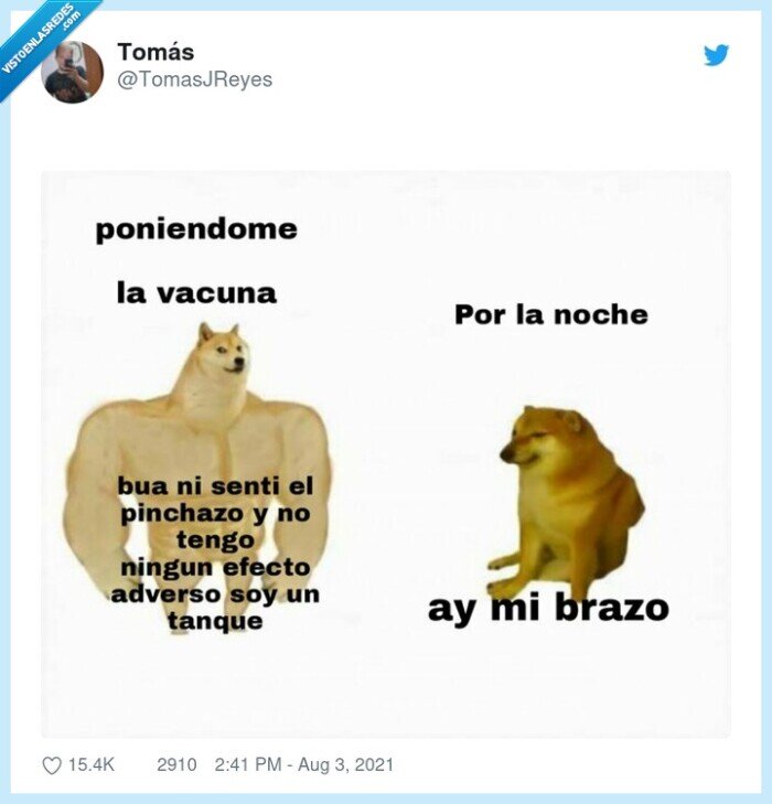 cheems,doge,vacuna,coronavirus,brazo,doler