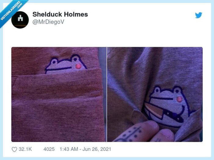 rana,navaja,tejido,camiseta,bolsillo