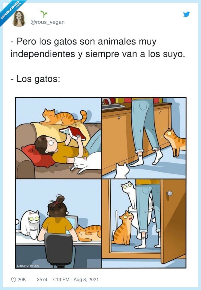 independientes,animales,gatos