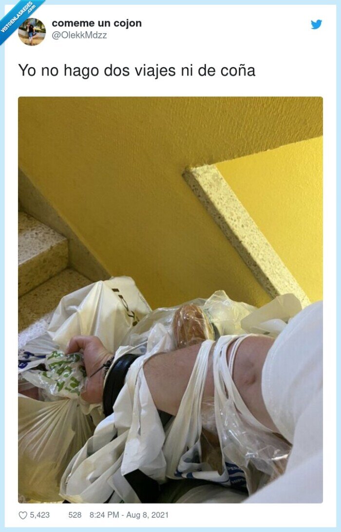 bolsas,viajes,aguantar,brazo