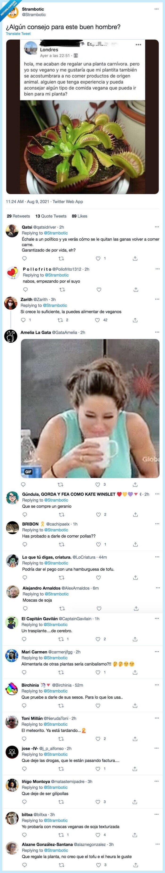 consejo,planta carnívora,vegano,alimentar