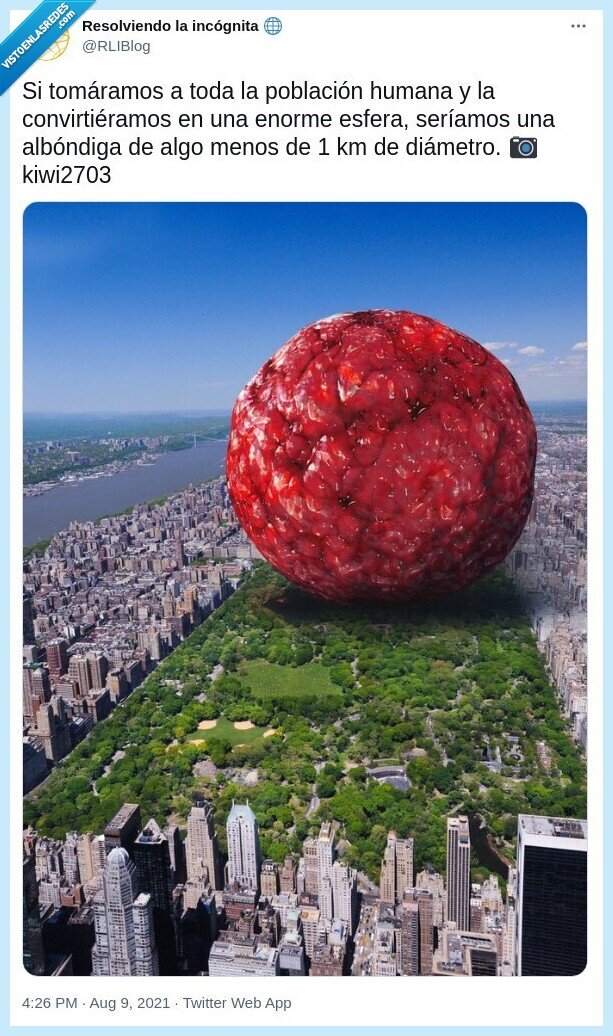 humanos,carne,comida,albondiga