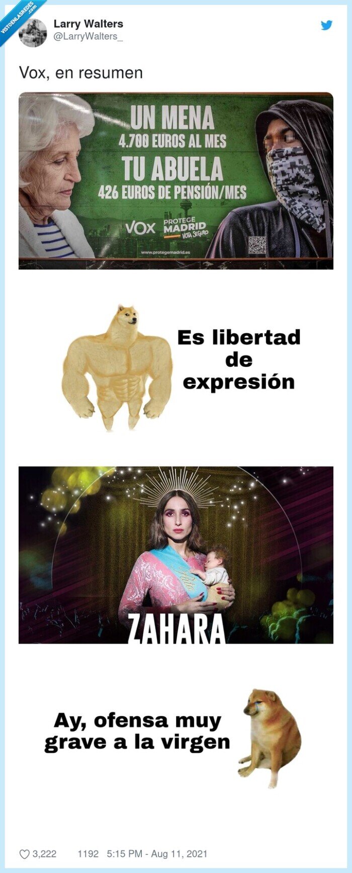 resumen,vox,zahara,cartel,menas,doge,cheems