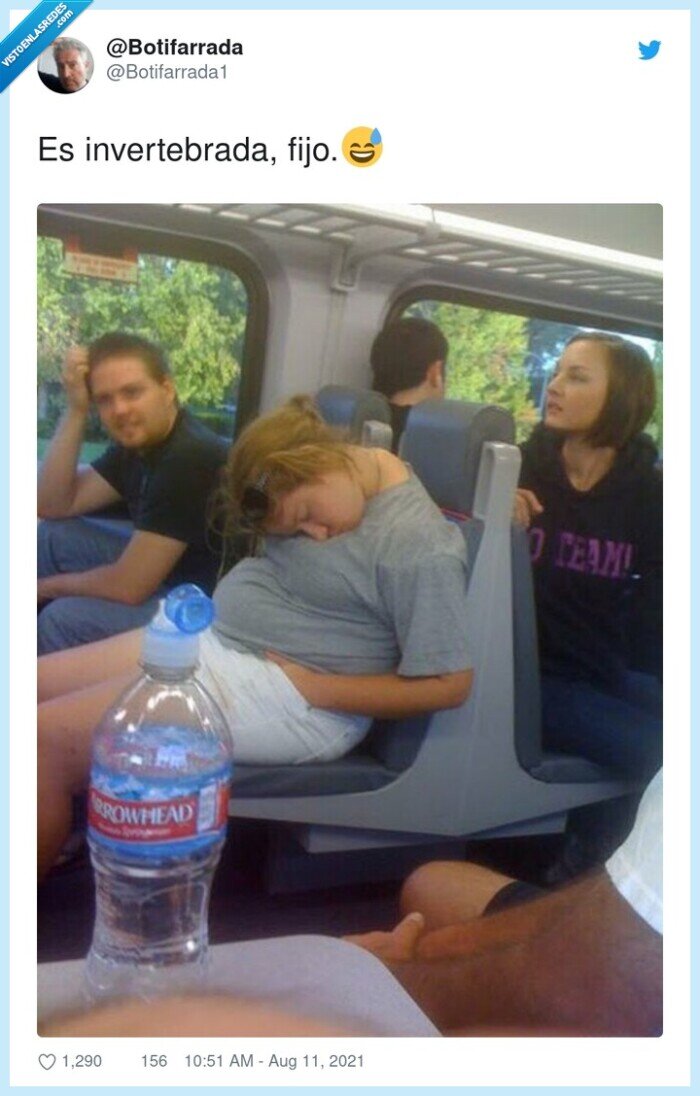 invertebrada,autobus,dormida,plegada