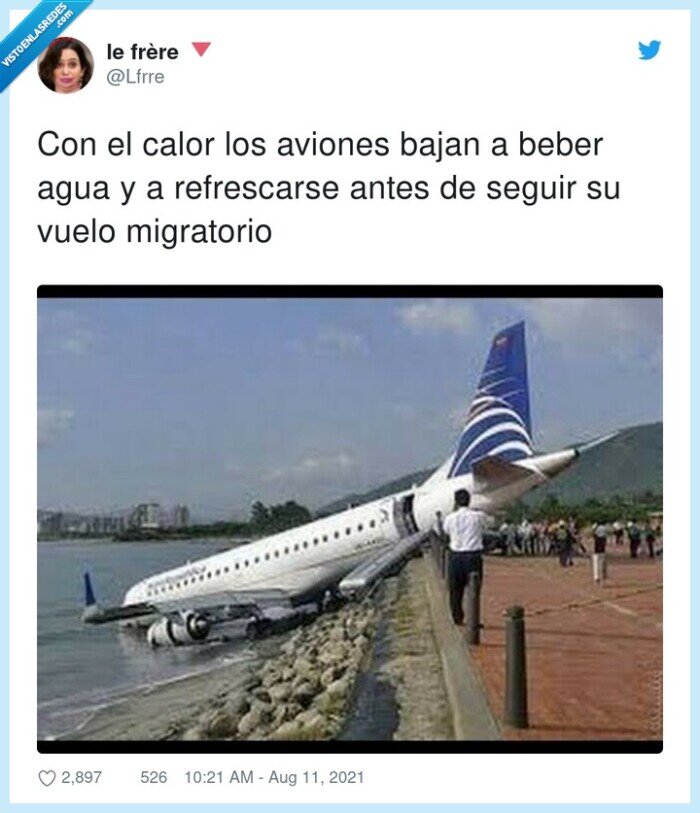 refrescarse,migratorio,aviones,calor