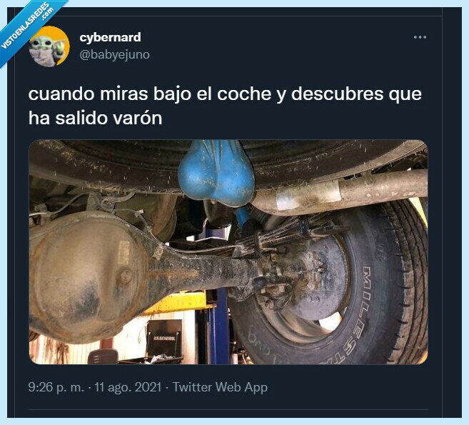 coches,género,huevos,bolsa