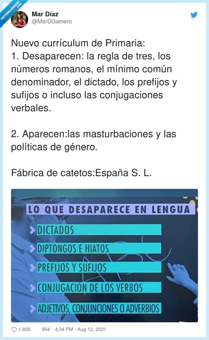 lengua,curriculo,educación