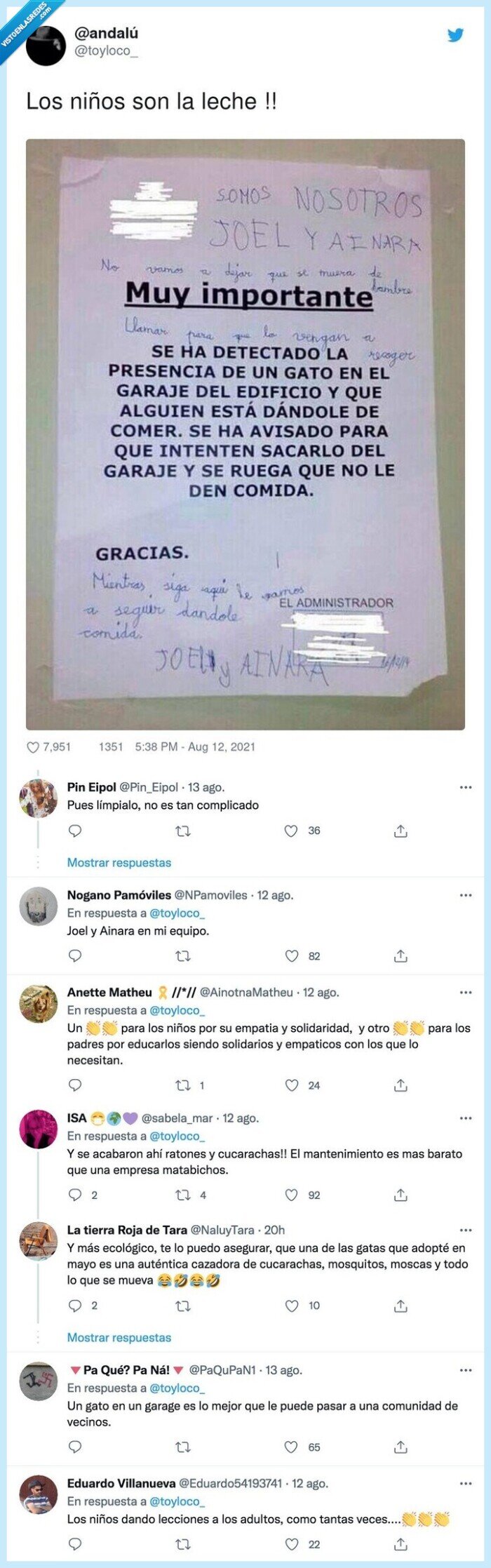 niños,gato,alimentar,comida