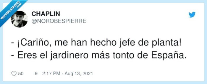 jardinero,cariño,españa,planta,tonto