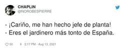 Enlace a Déjalo si así es feliz, por @NOROBESPIERRE