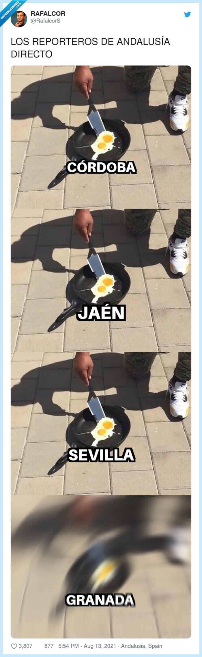 andalusía,reporteros,directo,calor,huevos
